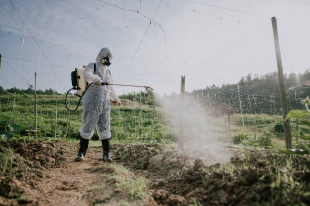 Best Commercial Pest Control Services  in Benton City, WA