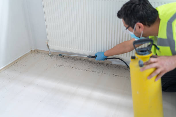 Best Pest Control Near Me  in Benton City, WA