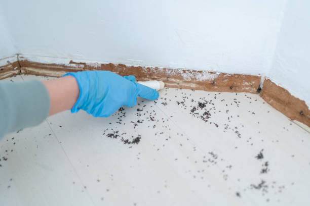 Reliable Benton City, WA Pest Control Solutions