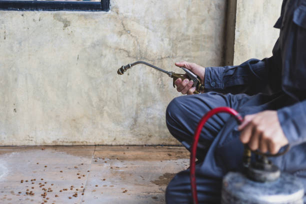 Best Local Pest Control Services  in Benton City, WA